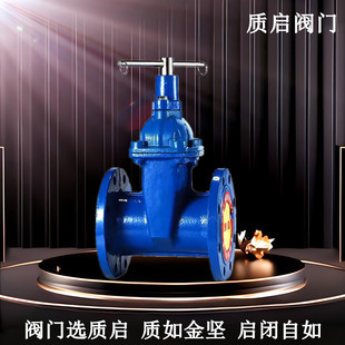 暗杆软密封闸阀 表前软密封闸阀 泉州质启SZ45X 16Q法兰带锁闸阀