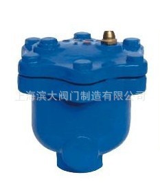 上海滨大阀门ARSX微量排气阀 快速自动排气阀 DN25