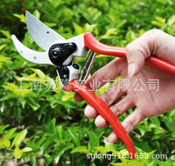 德国德狮宝SF-850果树修枝剪园艺剪刀树枝剪子花枝修剪刀省力剪