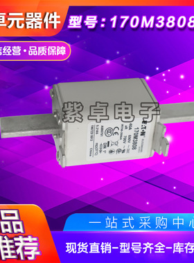 伊顿巴斯曼熔断器170M系列170M3808D 170M3809D现货供应