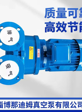 水环式真空泵2BV5110.2BV5111.2BV5121.2BV5131/5161水环式真空泵