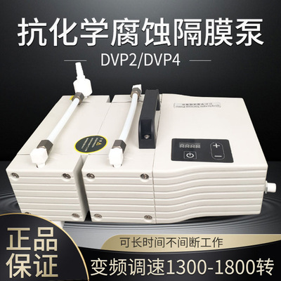 临海谭氏抗化学腐蚀隔膜泵DVP2 4真空稳定抽速可调