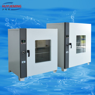 液晶屏电热鼓风干燥箱GZX-DH.400-BS-II 250℃   400*400*450