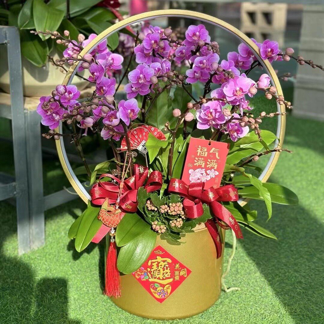 彩色灯圈铁艺花盆花器蝴蝶兰盆金属北欧花架冬青盆器绿植仿真花