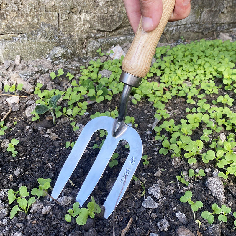 园艺小铲子套装不锈钢种植挖土家用赶海铁锹铲种菜养花工具