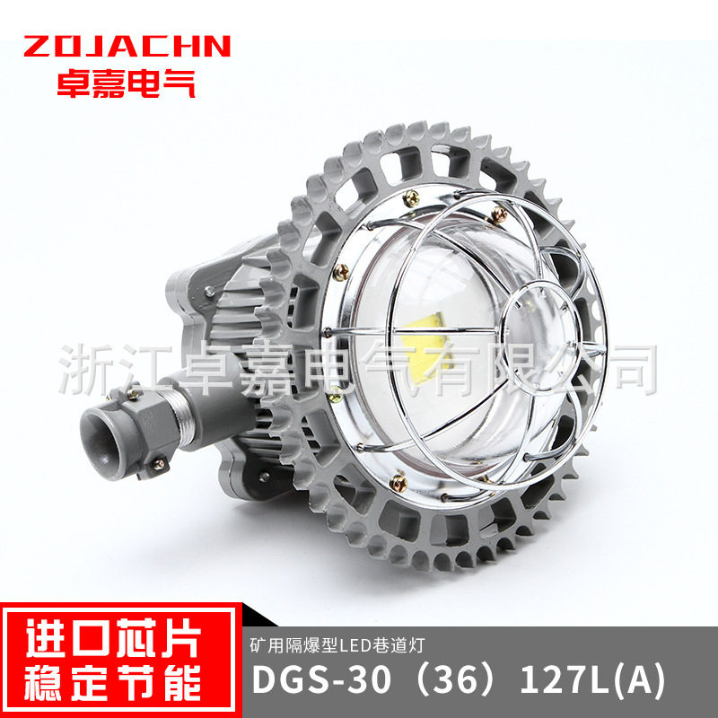 矿用隔爆型LED巷道灯DGS36/40/127LA防爆器材照明灯三防灯防水