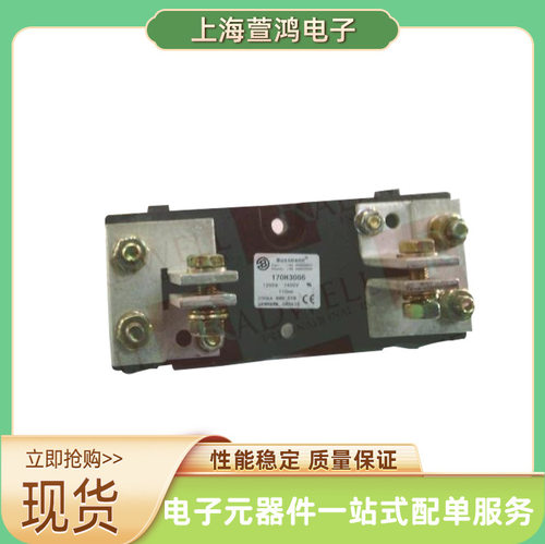 170M5245 170M5246 170M5247 170M5248原厂 压熔断器 电路保护器