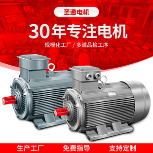 380V YE3-160L-2P 18.5KW 25HP机械马达三相电动机 全铜