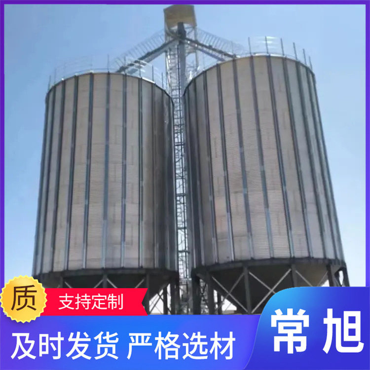 玉米稻谷大豆粮食钢板仓通风好长久保存带有提升机井字架可订置