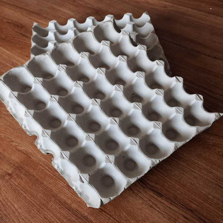 半自动蛋盘机纸浆鸡蛋水果托盘