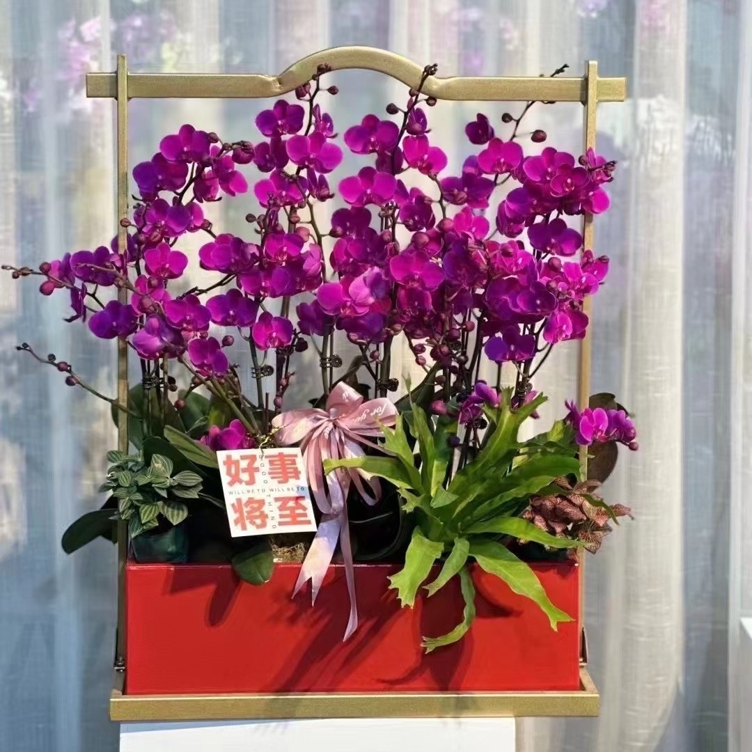 新中式四方来财铁艺花盆花器蝴蝶兰盆金属北欧花架冬青盆器绿植