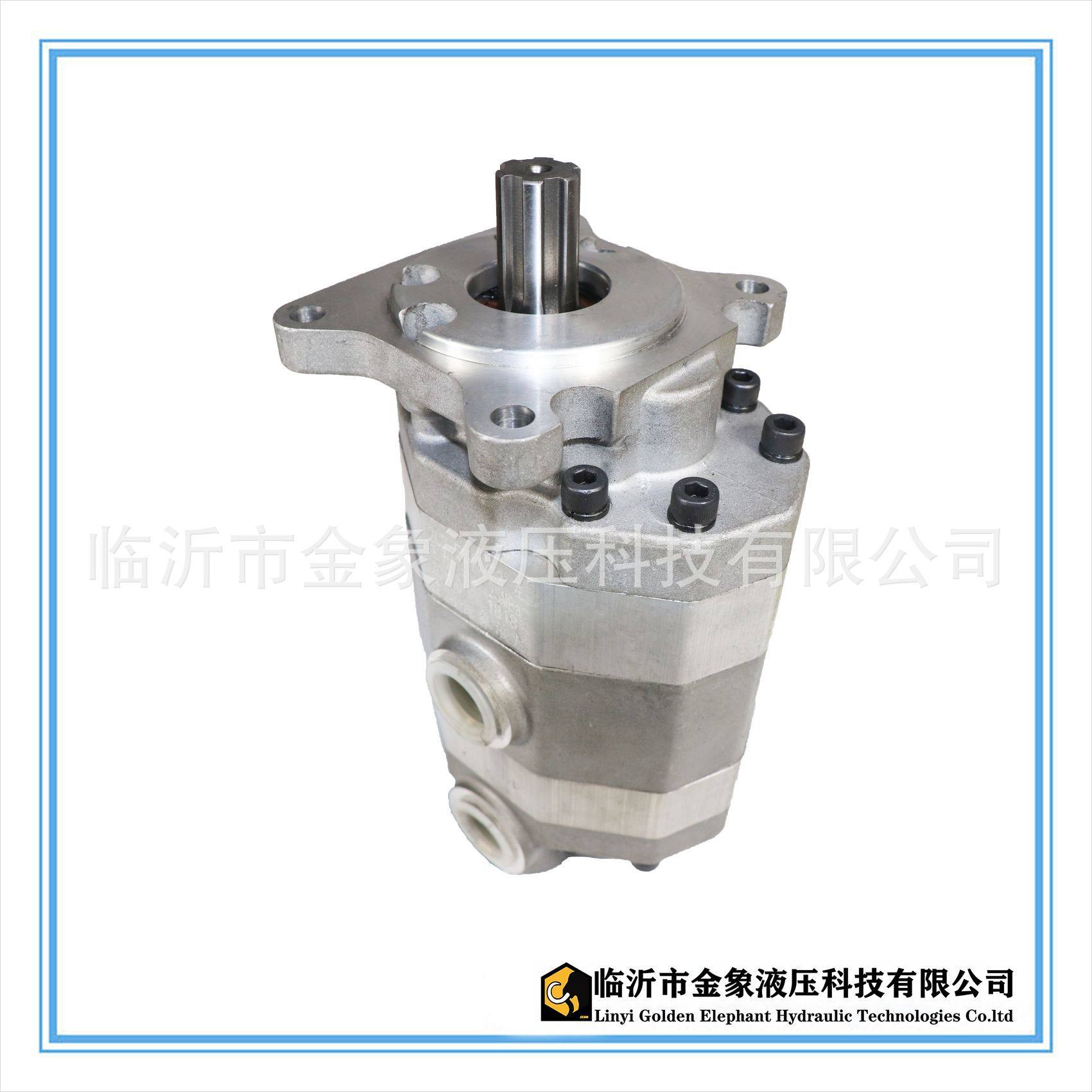 2CB-FC16/16 双联泵25/25 32/32 40/40 50/50 63/50