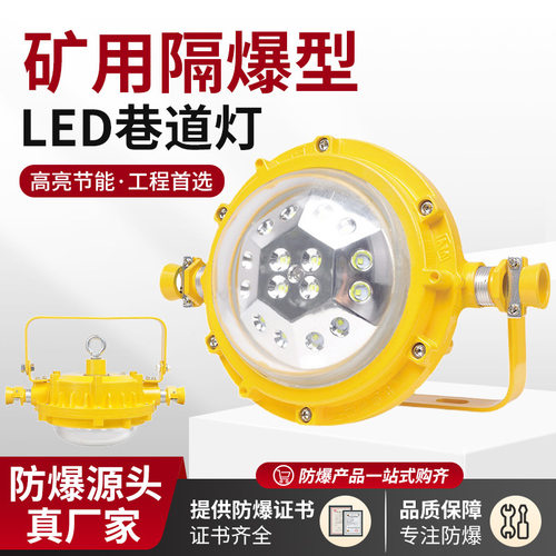 DGS48/127L(A)矿用隔爆型LED巷道灯50W/127V井下用圆形防爆照明灯
