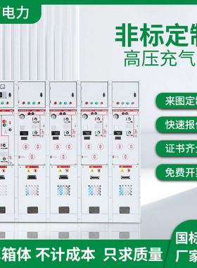 SRM16-12全绝缘全封闭高压气体环网柜 SF6开关柜 高压充气柜KYN8