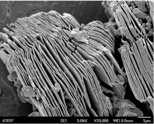 2-10μm 碳化钛（Ti3C2Tx）MXene 多层纳米片   1g