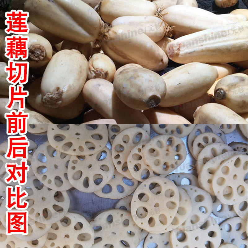 多功能变频水果切片机 香蕉1mm切片机 大产量莲藕切薄片设备