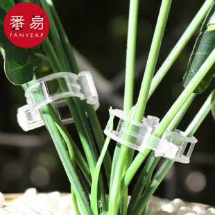 藤蔓固定夹A1zoq001-绿植果树植物固定夹爬藤卡扣果蔬秧苗吊秧夹