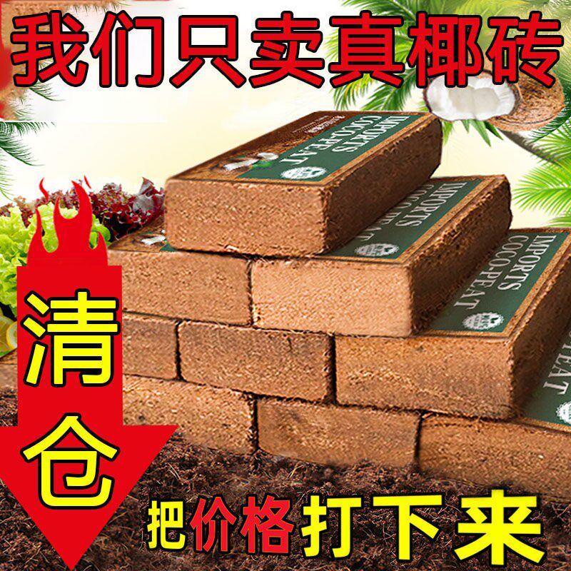 速发椰砖椰养土通用型椰土壤营糠粗椰壳种花养花种菜大植种块耶砖