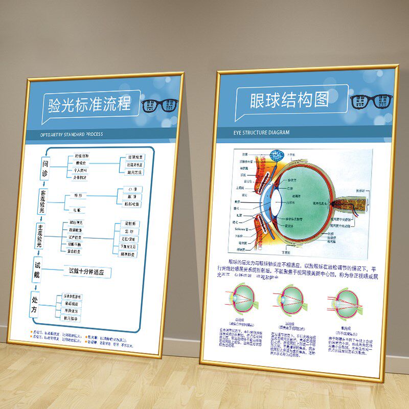 速发验光流程图店眼饰画眼球结构图装科海院诊所配镜医报宣传挂画