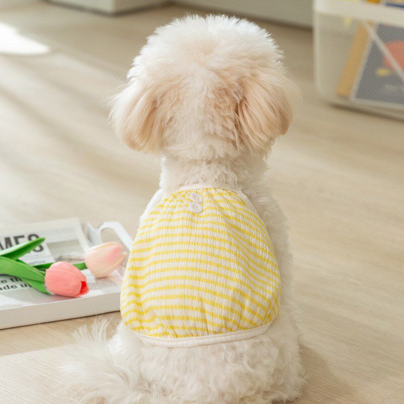 速发春夏带小清新色条纹款季泰迪比熊幼犬幼猫夏吊狗衣服