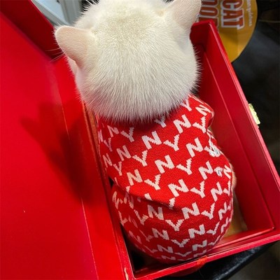 速发衣服毛衣比熊纳迪雪泰瑞博美马尔济斯小狗猫咪秋冬装