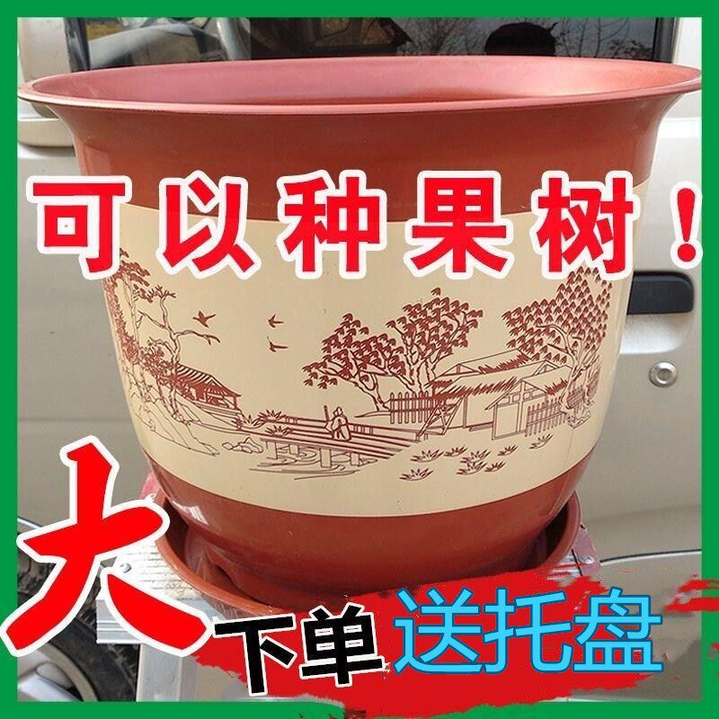速发花盆特栽号加瓷仿陶厚花盆塑料发财树果盆大花卉月季牡丹花盆
