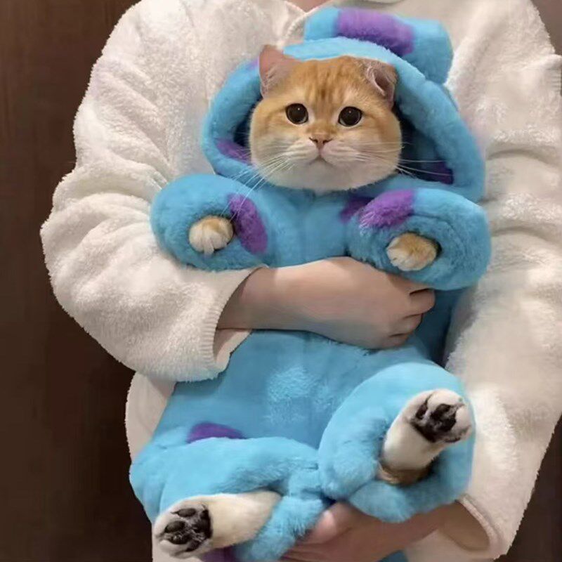 速发猫咪恐龙装衣秋服冬保暖布偶金渐层小猫防掉毛搞怪连体脚四衣
