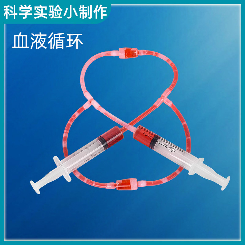 速发儿童益智手工科学物实验小理科技手工制作血液循环材料包6-8