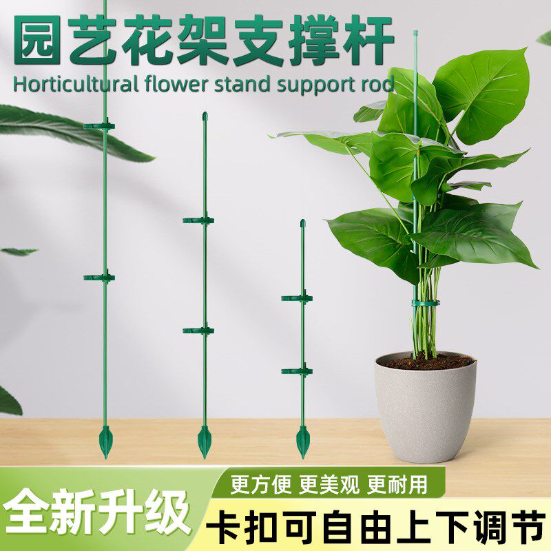 速发植物支撑杆园艺花器绿植支撑架固定神卉防倒蝴兰蝶花固定器扶