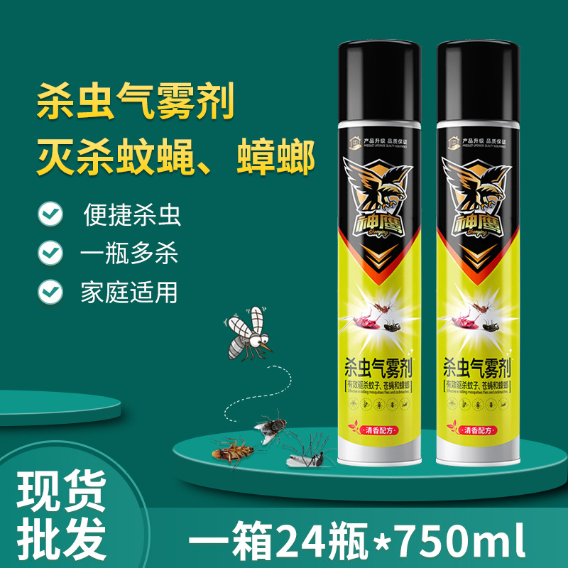 杀虫气雾剂喷雾剂家用大瓶装驱蚊灭苍蝇灭蟑螂无香型 杀虫气雾剂
