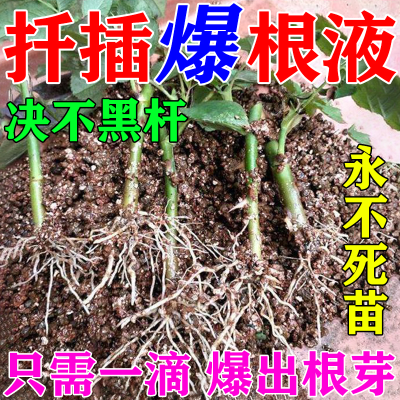 101植物活力素一滴生根永不死