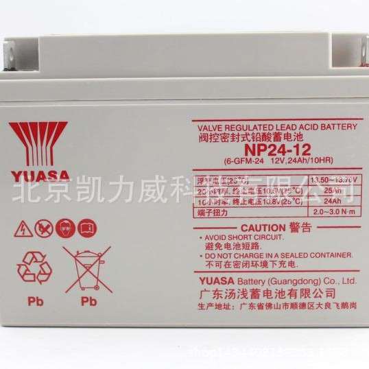 汤浅蓄电池NP12-55 12v55a通讯机房 基站EPS/UPS应急电源专用