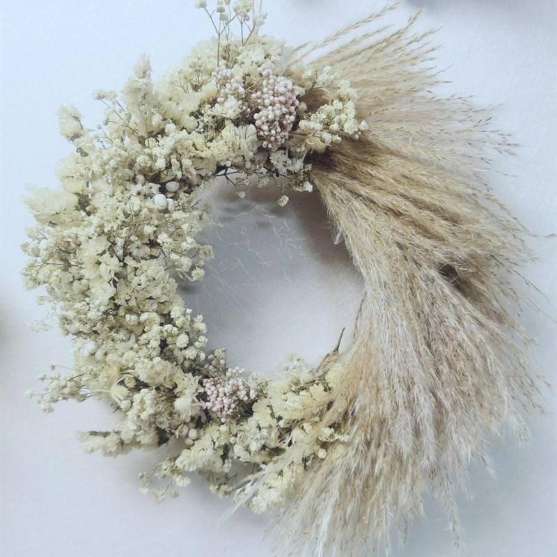 极速insc森系芦苇花环干花壁饰装饰花拍摄背景影楼道具门挂花门楣 - 封面