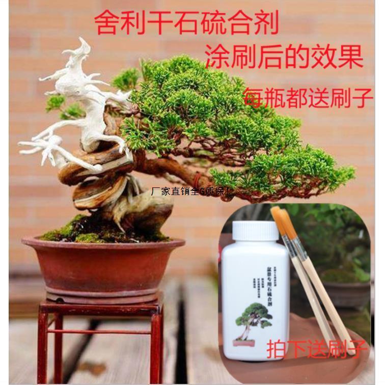 极速2022g盆景舍利干杆涂白剂 石硫合剂 园艺制作工具铝丝造型用