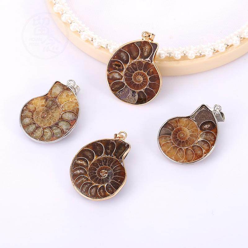 极速。Naturafl conch fossil shell pendant marine conch anima