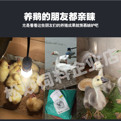 新品鹅饲料养殖专用鹅颗粒饲料肉中大鹅雏鹅小Q鹅青年鹅大鹅鸡鸭