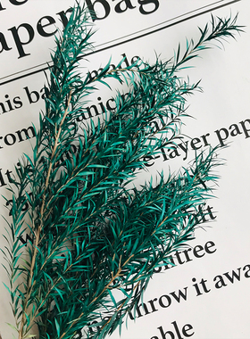 极速永生花花材千层叶万层金dizy材料包保鲜玫瑰情人节礼盒绿植配