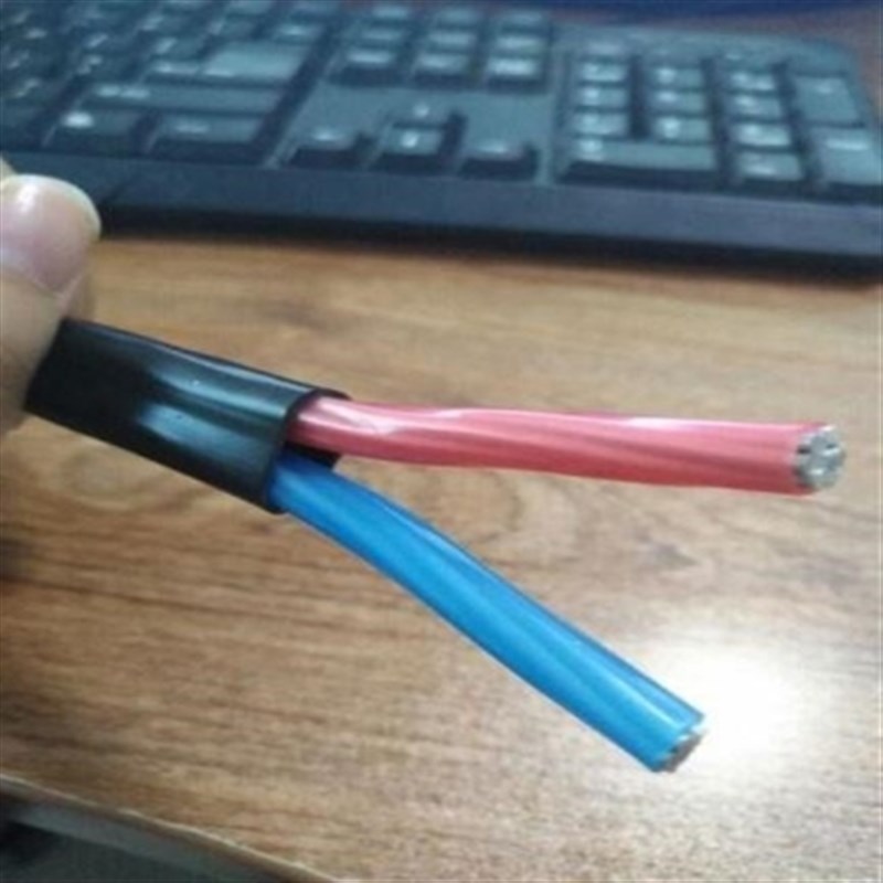 极速。。农网改造户外防老化2546B1016平方2芯铝线铝芯电缆护套线