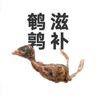 极速pidan猫零食鹌鹑冻干50g猫粮小L鸟肉干营养磨牙增肥发腮