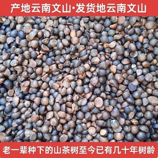 云南山茶籽榨油原料油茶籽原料去壳自榨茶籽油茶果原料