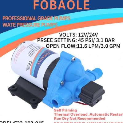 新品爆品12fV24V直流电动隔膜泵房车G游艇生活增压供水自吸清水泵