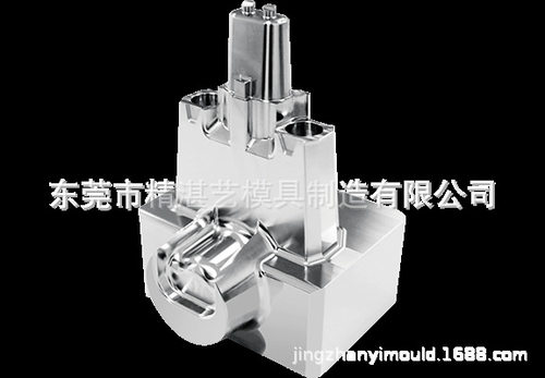 精湛艺模具厂制造 汽车刹车制动四回路壳体模具镶件加工 5轴精雕