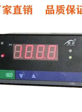 HX-WP-C803-01/02-08/09/12/18/23-HL-P数显表温控仪液位仪