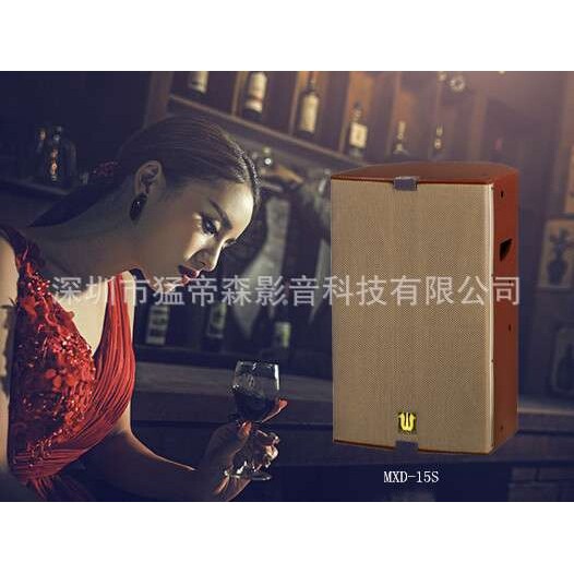 15寸卡拉OK音响 专业户外娱乐唱歌音响 ktv舞台有源专业音箱