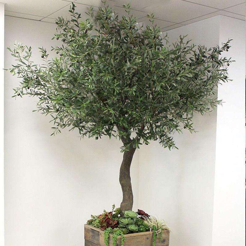 橄榄树大型仿生假绿植室内外景观装饰橱窗造景仿真植物树真
