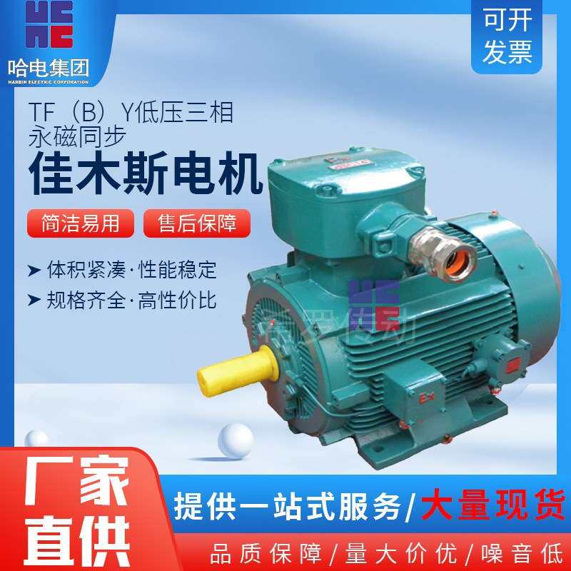 佳木斯电机马达TF(B)Y低压隔爆型三相永磁同步发电机1.5kw2.2kw