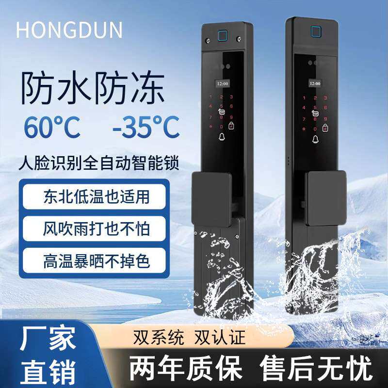 户外人脸智能锁双面指纹锁入户防盗门庭院防水防冻防晒电子密码锁