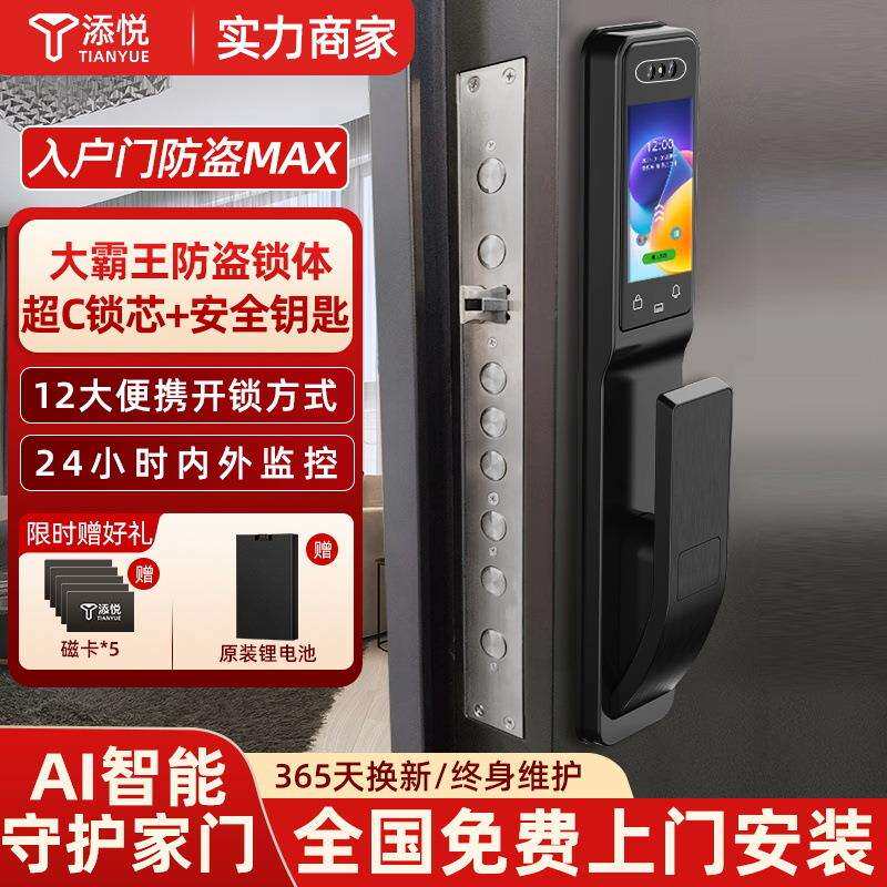 霸王锁体智能锁指纹锁家用防盗门智能带钥匙全自动款入户门电子锁