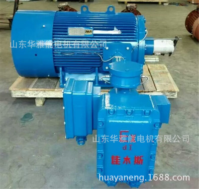 玉鼎YBX5450-10-250KW电机肯得YBX5450-10-250KW电机