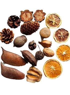 极速松果木片树叶乾燥花乾果组合套装幼儿园装饰小摆Y件复古拍照